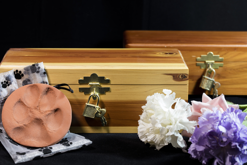 Benefits of A Professional Pet Cremation Service
