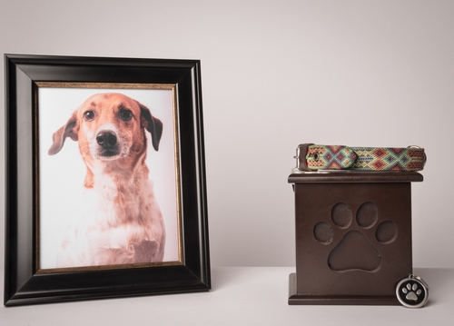 urn with a puppy print